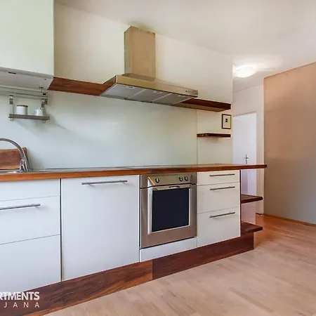 70 Square M With Balcony+parking+ac * ليوبليانا